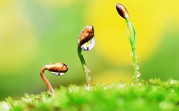 Học cách để may mắn 